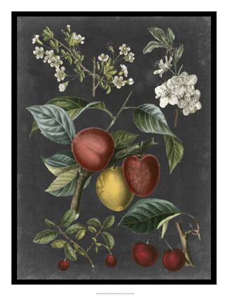 Orchard Varieties III