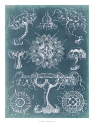 Sealife Blueprint III