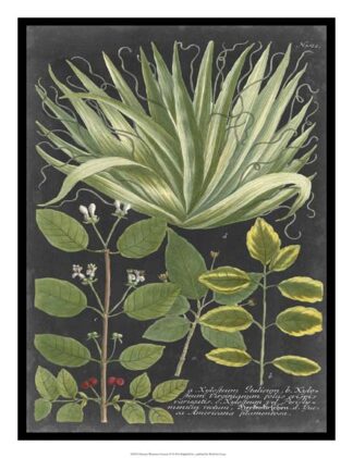 Dramatic Weinmann Greenery IV