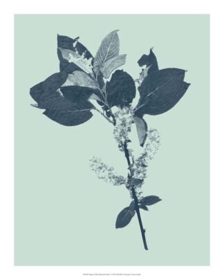 Indigo & Mint Botanical Study V
