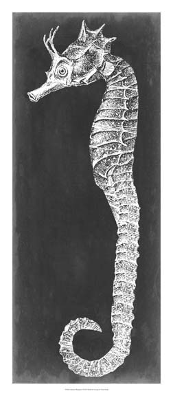 Seahorse Blueprint I