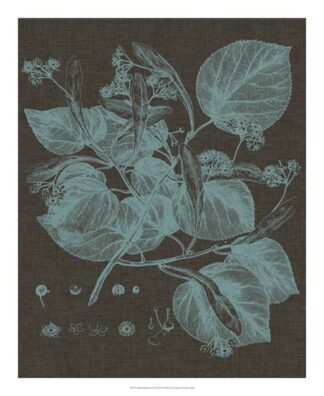 Shimmering Leaves II