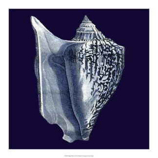 Indigo Shells I