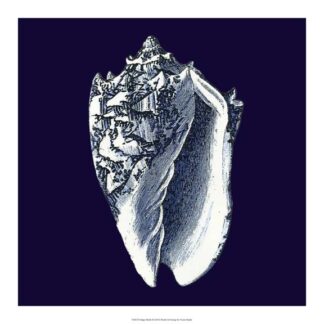 Indigo Shells II