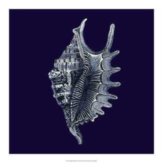 Indigo Shells VI