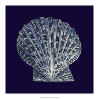Indigo Shells VIII