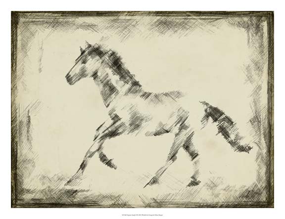 Equine Study II