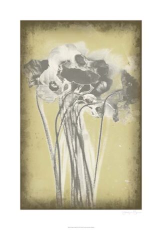 Poppies in Relief III