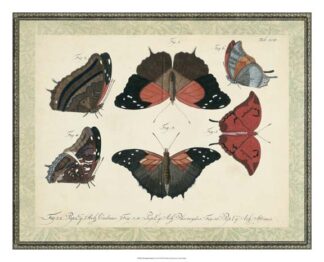 Bookplate Butterflies Trio II