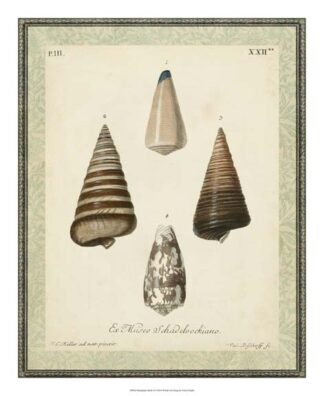 Bookplate Shells VI