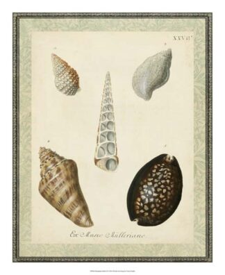 Bookplate Shells IX