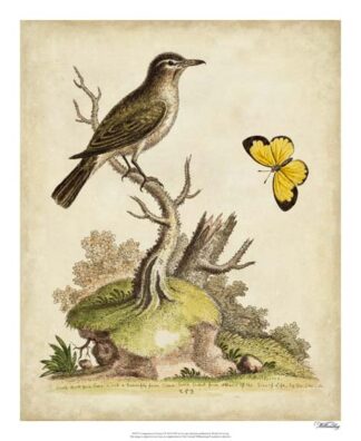 Companions in Nature I