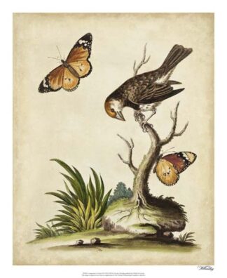 Companions in Nature II