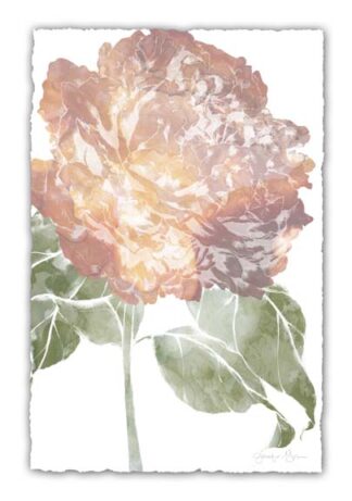 Watercolor Bloom I