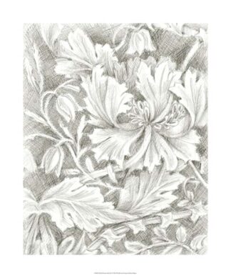 Floral Pattern Sketch I
