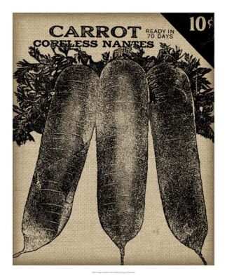 Vintage Seed Pack II