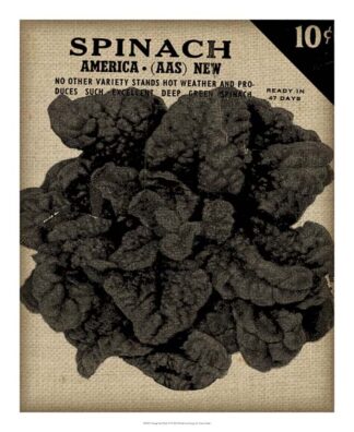 Vintage Seed Pack VI