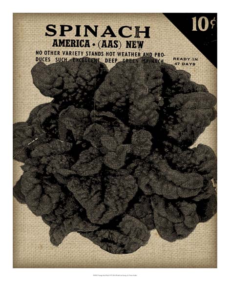 Vintage Seed Pack VI