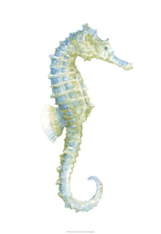 Watercolor Seahorse I