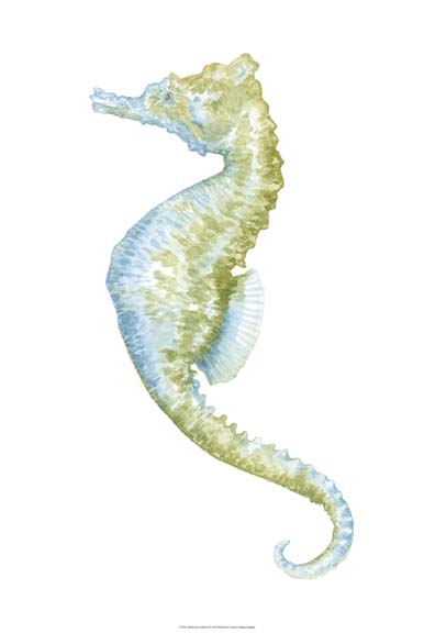 Watercolor Seahorse II