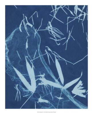 Cyanotype No.5