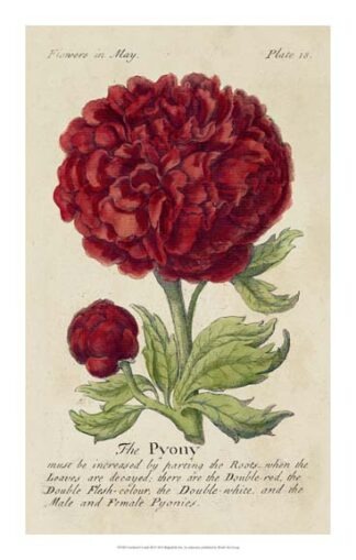 Gardener's Guide III