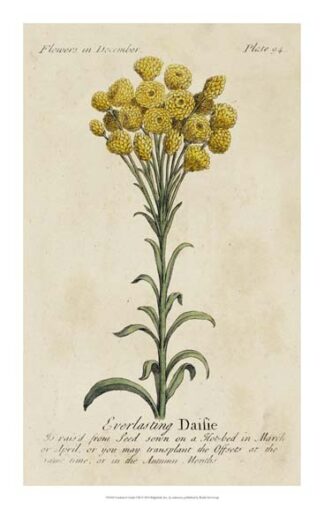 Gardener's Guide VIII