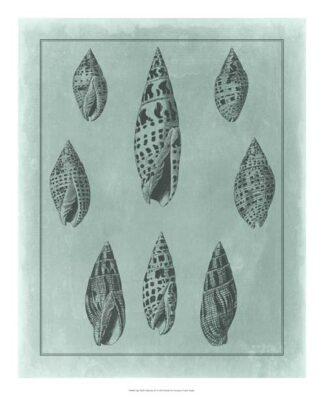 Spa Shell Collection IV