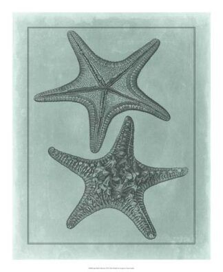 Spa Shell Collection VII