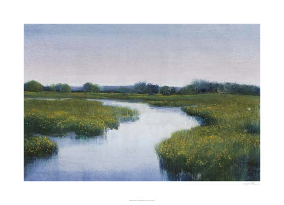 Marshlands I