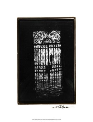 Hidden Passages, Venice I