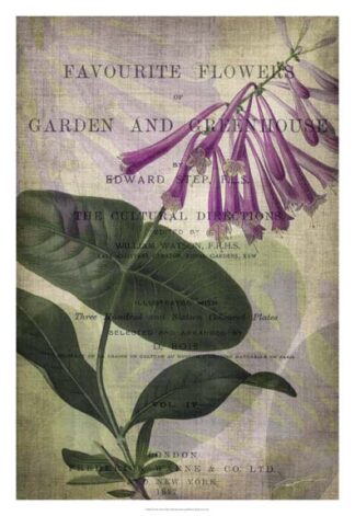 Favorite Flowers III