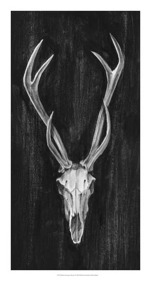 Rustic European Mount I