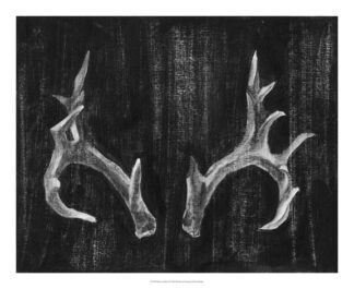 Rustic Antlers I