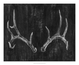 Rustic Antlers II