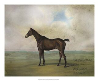 The Prince Rohan's Favorite Hunter