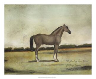 A Strawberry Roan Hunter