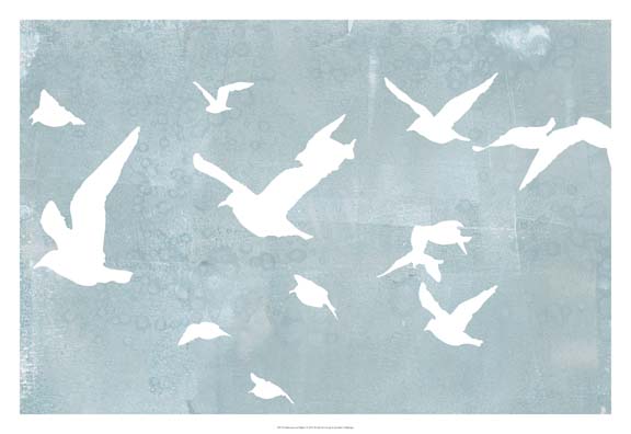 Silhouettes in Flight I