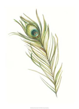 Watercolor Peacock Feather I