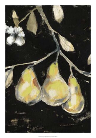 Fresh Pears I