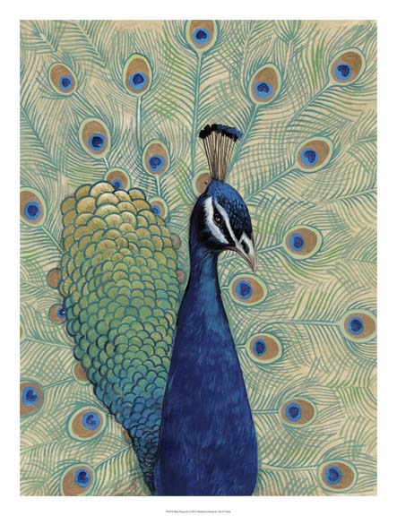 Blue Peacock I
