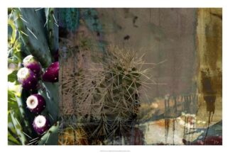 Texas Cactus Collage