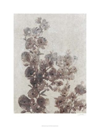 Sepia Flower Study I