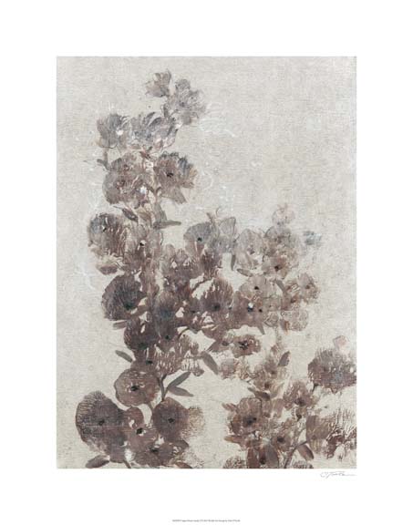 Sepia Flower Study I