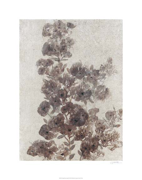 Sepia Flower Study II