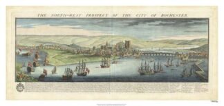 Buck's View - Rochester