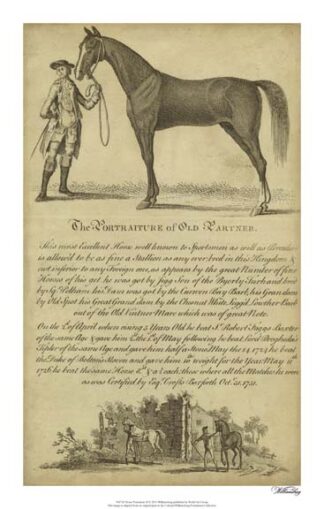 Horse Portraiture II