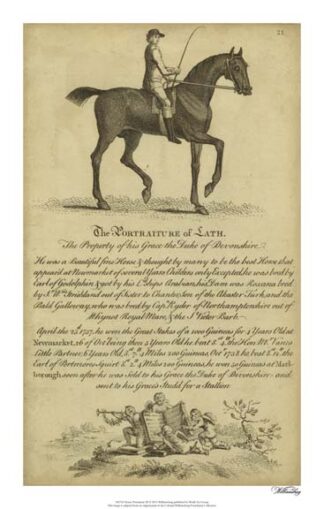 Horse Portraiture III