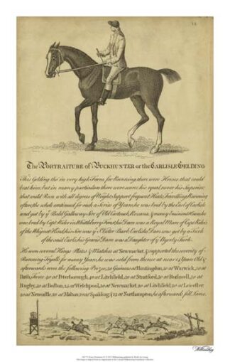 Horse Portraiture IV