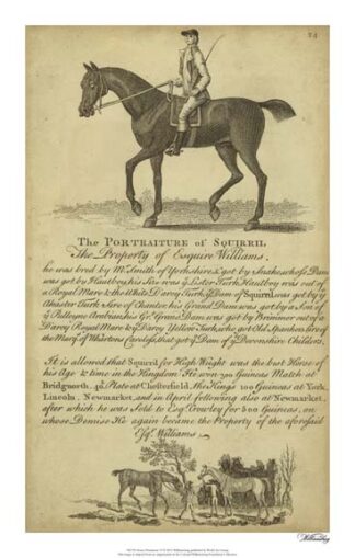 Horse Portraiture VI